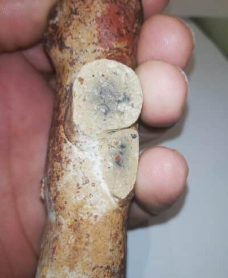 Sculpture Rochard : Comprendre sa valeur et le prix sur le marché de l'art